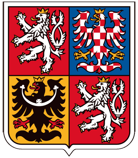 Czech Republic 1993-Pres Alternate Logo iron on transfers for clothing
